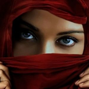 Meet your Posher, Daisy